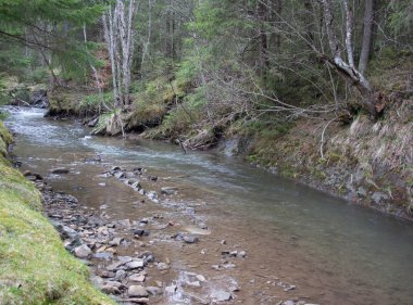 Karpatlarda dinlen, Gorgany dağlarında yürüyüş 