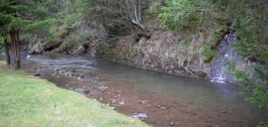 Karpatlarda dinlen, Gorgany dağlarında yürüyüş 