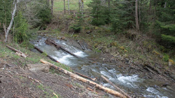 Karpatlarda dinlen, Gorgany dağlarında yürüyüş 