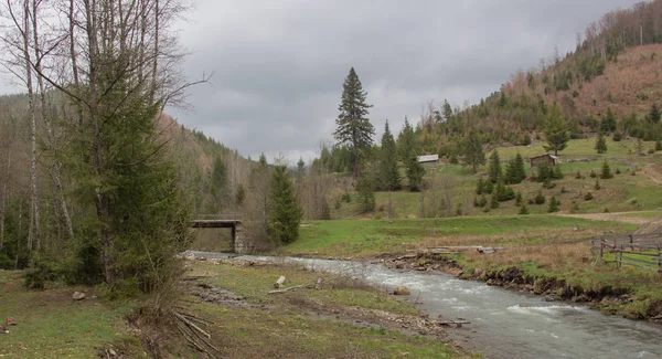 Repos Dans Les Carpates Randonnée Dans Les Montagnes Gorgany — Photo