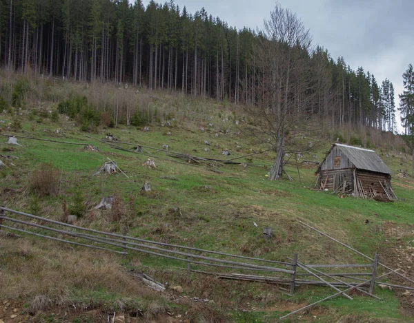 Karpatlarda dinlen, Gorgany dağlarında yürüyüş 