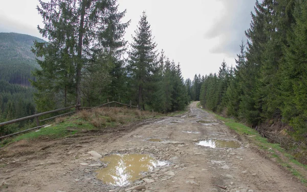 Karpatlarda dinlen, Gorgany dağlarında yürüyüş 