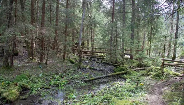 Spoczywaj Karpatach Turystyka Górach Gorgany — Zdjęcie stockowe