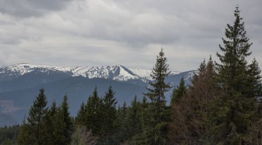 Karpatlarda dinlen, Gorgany dağlarında yürüyüş 