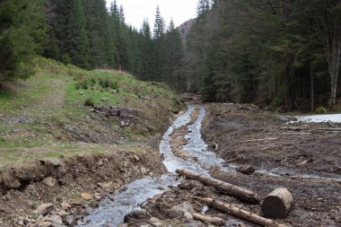 Karpatlarda dinlen, Gorgany dağlarında yürüyüş 