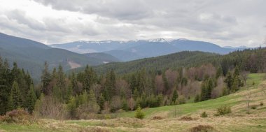 Karpatlarda dinlen, Gorgany dağlarında yürüyüş 