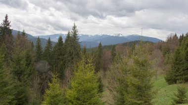 Karpatlarda dinlen, Gorgany dağlarında yürüyüş 