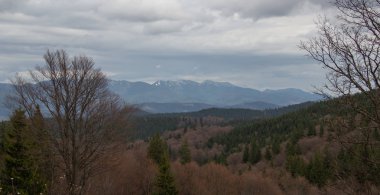 Karpatlarda dinlen, Gorgany dağlarında yürüyüş 