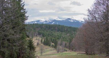 Karpatlarda dinlen, Gorgany dağlarında yürüyüş 