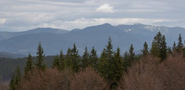 Karpatlarda dinlen, Gorgany dağlarında yürüyüş 
