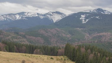 Karpatlarda dinlen, Gorgany dağlarında yürüyüş 