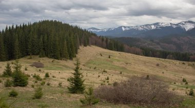 Karpatlarda dinlen, Gorgany dağlarında yürüyüş 