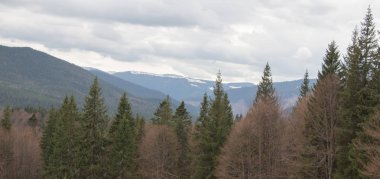 Karpatlarda dinlen, Gorgany dağlarında yürüyüş 