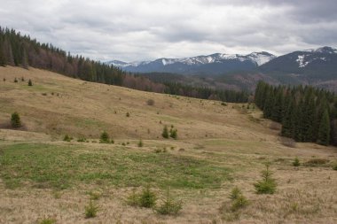 Karpatlarda dinlen, Gorgany dağlarında yürüyüş 