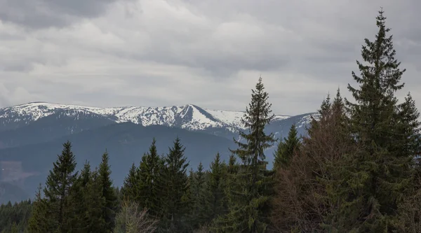 Karpatlarda dinlen, Gorgany dağlarında yürüyüş 