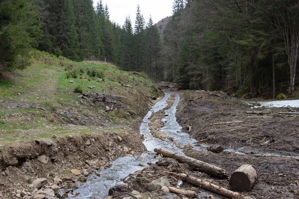 Karpatlarda dinlen, Gorgany dağlarında yürüyüş 