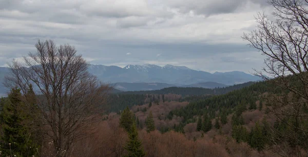 Karpatlarda dinlen, Gorgany dağlarında yürüyüş 