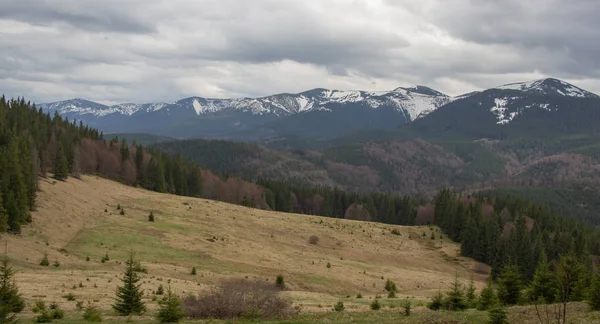 Karpatlarda dinlen, Gorgany dağlarında yürüyüş 