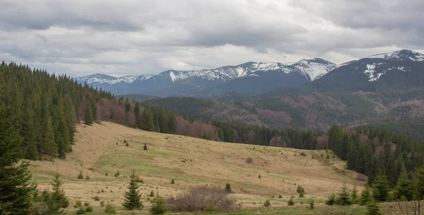 Karpatlarda dinlen, Gorgany dağlarında yürüyüş 