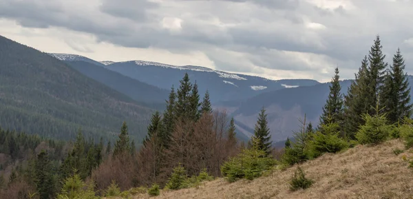 Descanso Nos Cárpatos Caminhadas Nas Montanhas Gorgany — Fotografia de Stock