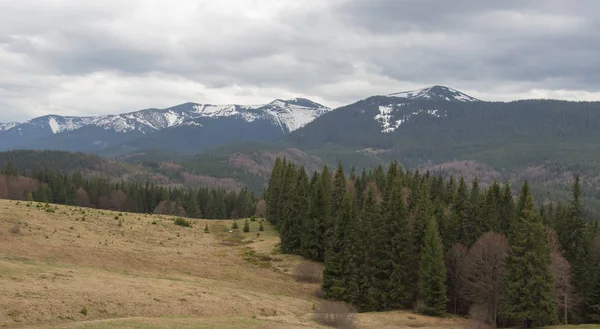 Rest Carpathians Hiking Mountains Gorgany — Stock Photo, Image