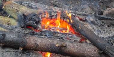 Kamp Ateşi, geceleri kamp ateşi, ormanda şenlik ateşi, yakacak odun yakma