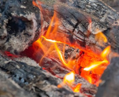 Kamp Ateşi, geceleri kamp ateşi, ormanda şenlik ateşi, yakacak odun yakma