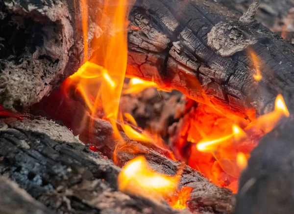 Camping Fire Ognisko Nocy Ognisko Lesie Spalanie Drewna Kominowego — Zdjęcie stockowe