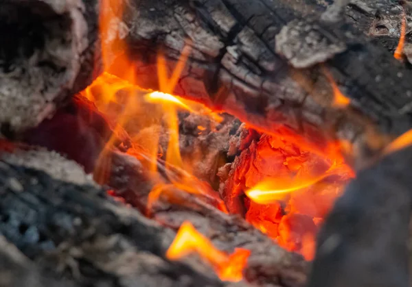 Camping Fire Ognisko Nocy Ognisko Lesie Spalanie Drewna Kominowego — Zdjęcie stockowe