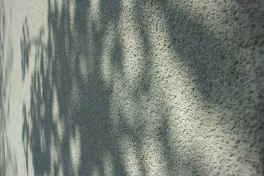 Arka planlar, örneğin farklıdır: çuval bezi, tuğla duvar, kaldırım karoları, çuval, çuval