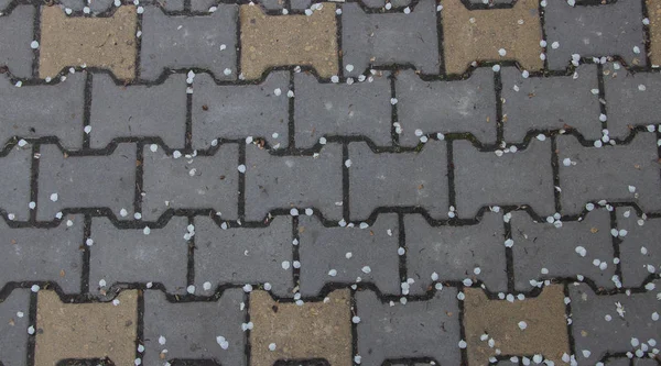 Les Milieux Sont Différents Tels Que Sac Mur Briques Carreaux — Photo