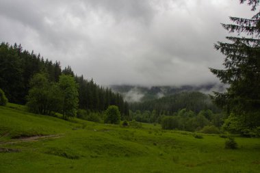 Petros'tan Hoverla'ya, Nesamovite Gölü'ne, Pop İvan Gözlemevi'ne çadırla yürüyüş