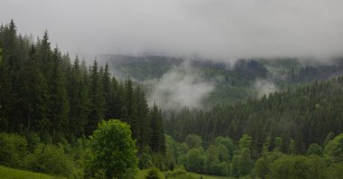 Petros'tan Hoverla'ya, Nesamovite Gölü'ne, Pop İvan Gözlemevi'ne çadırla yürüyüş