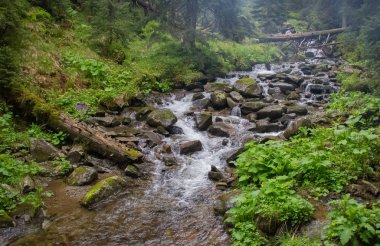 Petros'tan Hoverla'ya, Nesamovite Gölü'ne, Pop İvan Gözlemevi'ne çadırla yürüyüş