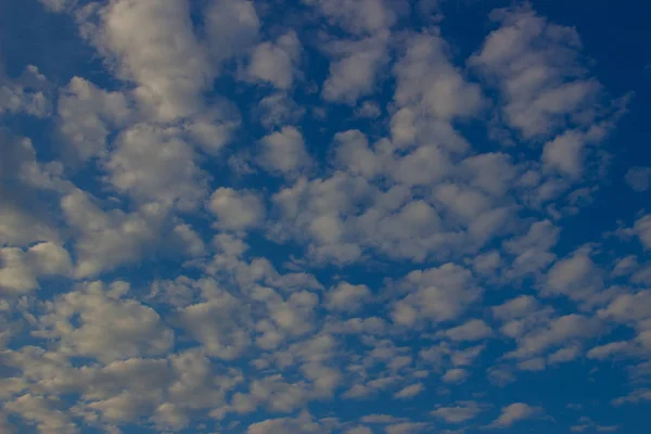 Sekawanan Awan Kecil Indah Foto Awan Langit Biru — Stok Foto