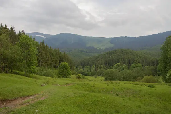 Petros'tan Hoverla'ya, Nesamovite Gölü'ne, Pop İvan Gözlemevi'ne çadırla yürüyüş