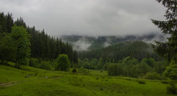 Randonnée Avec Une Tente Travers Petros Hoverla Lac Nesamovite Mont — Photo