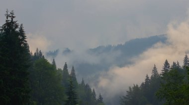 Petros'tan Hoverla'ya, Nesamovite Gölü'ne, Pop İvan Gözlemevi'ne çadırla yürüyüş