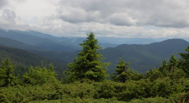 Petros'tan Hoverla'ya, Nesamovite Gölü'ne, Pop İvan Gözlemevi'ne çadırla yürüyüş