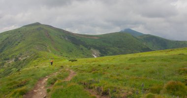 Petros'tan Hoverla'ya, Nesamovite Gölü'ne, Pop İvan Gözlemevi'ne çadırla yürüyüş