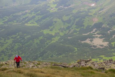 Petros'tan Hoverla'ya, Nesamovite Gölü'ne, Pop İvan Gözlemevi'ne çadırla yürüyüş