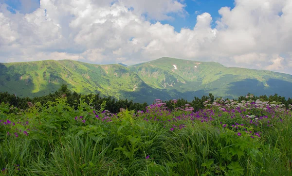 Petros'tan Hoverla'ya, Nesamovite Gölü'ne, Pop İvan Gözlemevi'ne çadırla yürüyüş