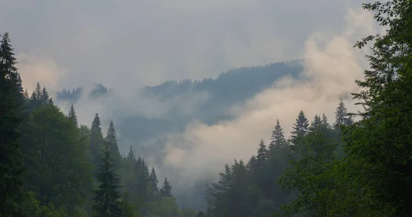 Wandelen Met Een Tent Door Petros Naar Hoverla Lake Nesamovite — Stockfoto