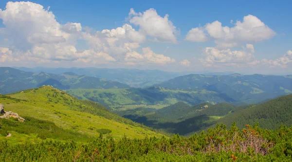 Vandring Med Tält Genom Petros Till Hoverla Lake Nesamovite Mount — Stockfoto