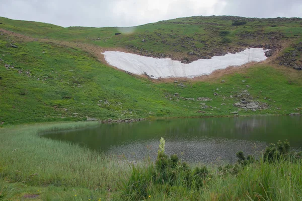 Naik Dengan Tenda Melalui Petros Hoverla Danau Nesamovite Mount Pop — Stok Foto