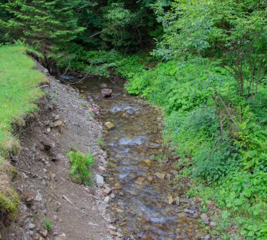 Gorgan'daki dağlara unutulmaz bir yürüyüş, şelaleler. Karpatlarda dinlenin