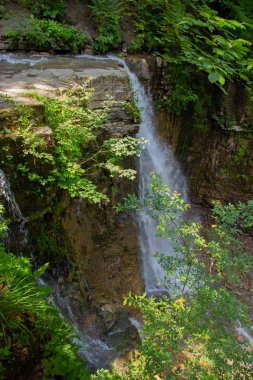 Gorgan'daki dağlara unutulmaz bir yürüyüş, şelaleler. Karpatlarda dinlenin