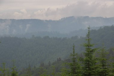 Gorgan'daki dağlara unutulmaz bir yürüyüş, şelaleler. Karpatlarda dinlenin