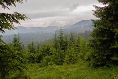 Gorgan'daki dağlara unutulmaz bir yürüyüş, şelaleler. Karpatlarda dinlenin