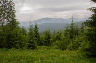 Gorgan'daki dağlara unutulmaz bir yürüyüş, şelaleler. Karpatlarda dinlenin